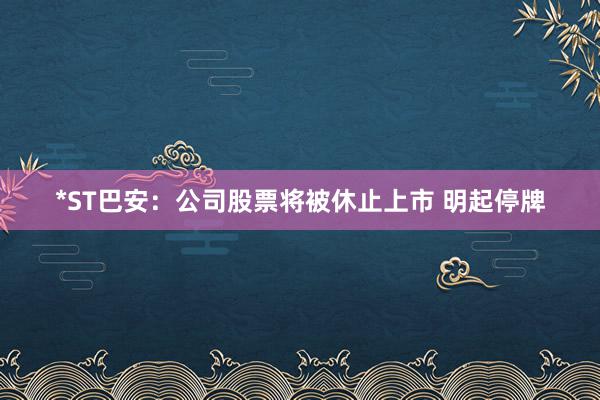 *ST巴安：公司股票将被休止上市 明起停牌