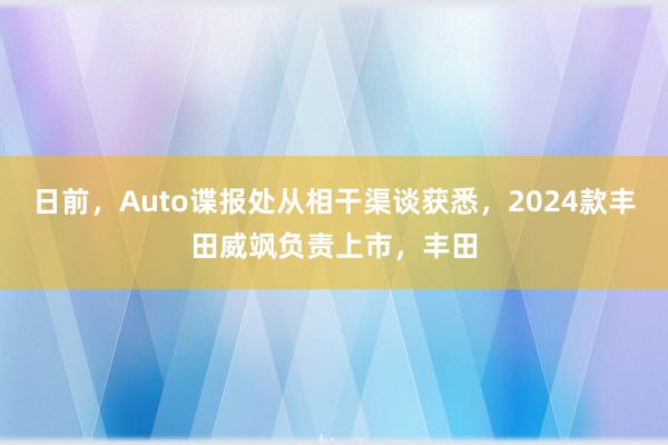 日前，Auto谍报处从相干渠谈获悉，2024款丰田威飒负责上市，丰田