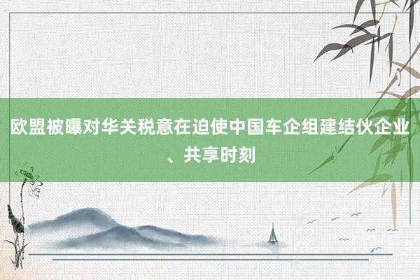 欧盟被曝对华关税意在迫使中国车企组建结伙企业、共享时刻