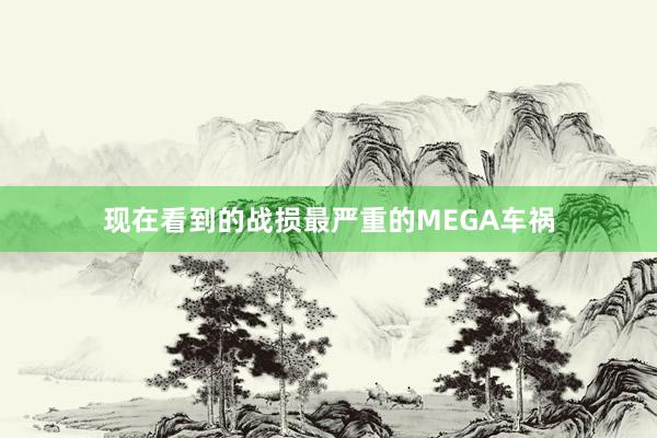 现在看到的战损最严重的MEGA车祸