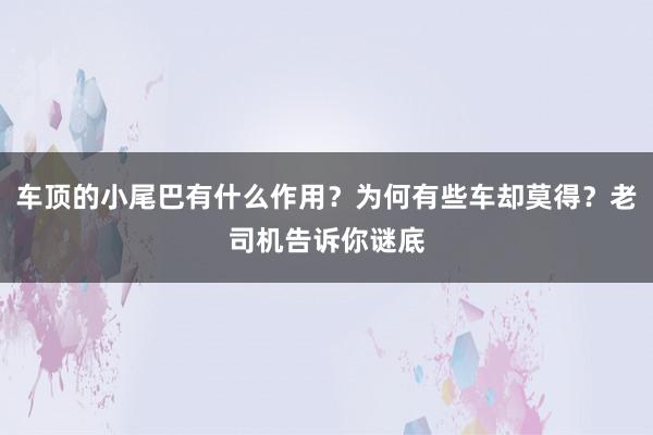 车顶的小尾巴有什么作用？为何有些车却莫得？老司机告诉你谜底