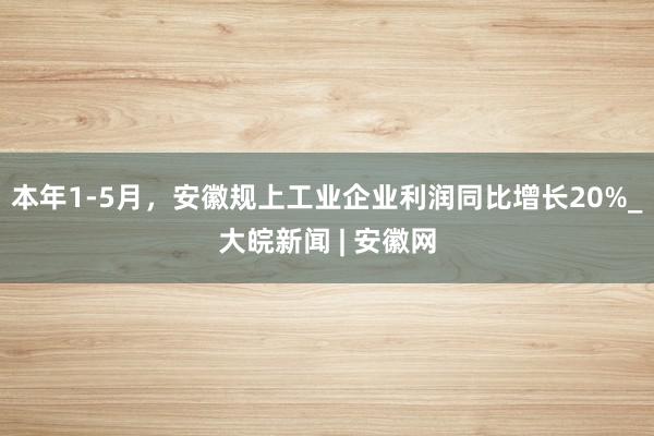 本年1-5月，安徽规上工业企业利润同比增长20%_大皖新闻 | 安徽网