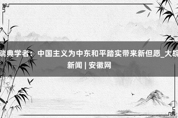 瑞典学者：中国主义为中东和平踏实带来新但愿_大皖新闻 | 安徽网