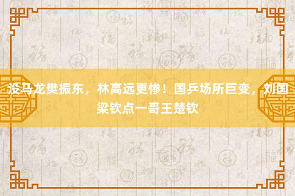 没马龙樊振东，林高远更惨！国乒场所巨变，刘国梁钦点一哥王楚钦