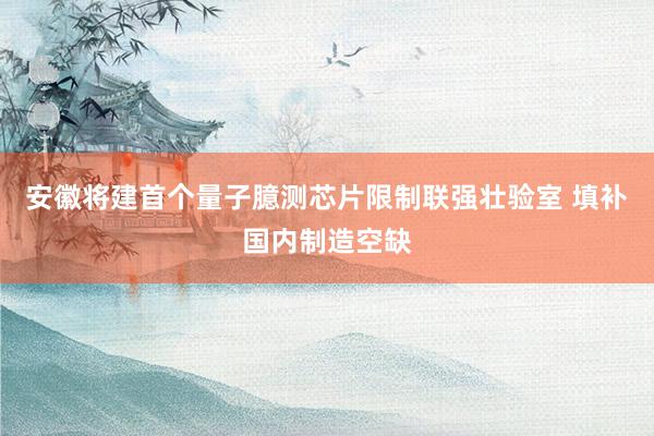 安徽将建首个量子臆测芯片限制联强壮验室 填补国内制造空缺