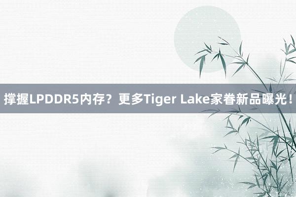 撑握LPDDR5内存？更多Tiger Lake家眷新品曝光！