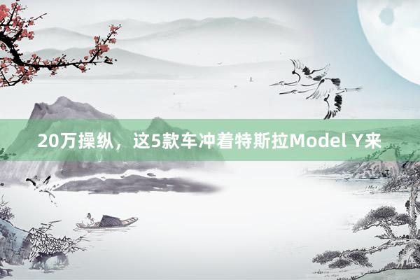 20万操纵，这5款车冲着特斯拉Model Y来