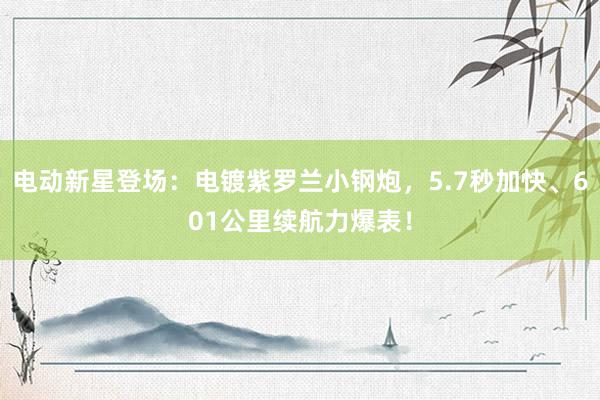 电动新星登场：电镀紫罗兰小钢炮，5.7秒加快、601公里续航力爆表！