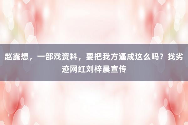 赵露想，一部戏资料，要把我方逼成这么吗？找劣迹网红刘梓晨宣传