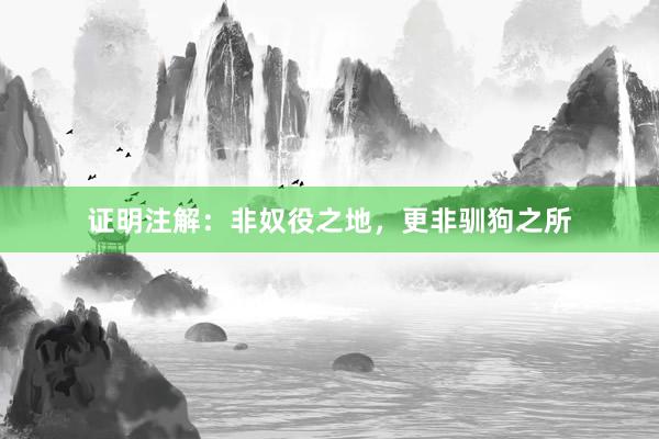 证明注解：非奴役之地，更非驯狗之所