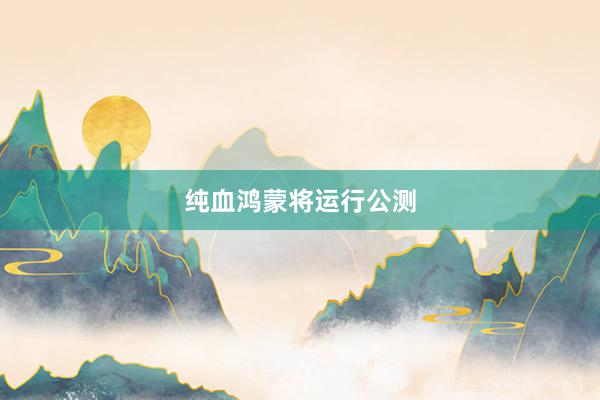 纯血鸿蒙将运行公测