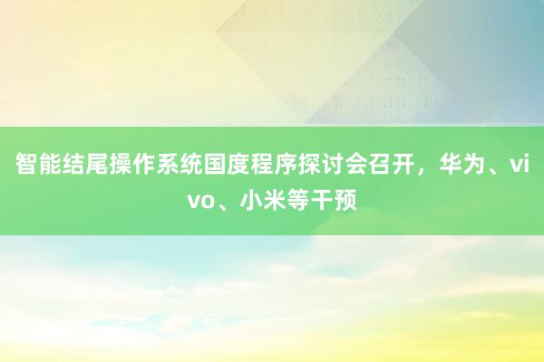 智能结尾操作系统国度程序探讨会召开，华为、vivo、小米等干预