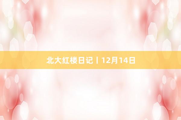 北大红楼日记丨12月14日