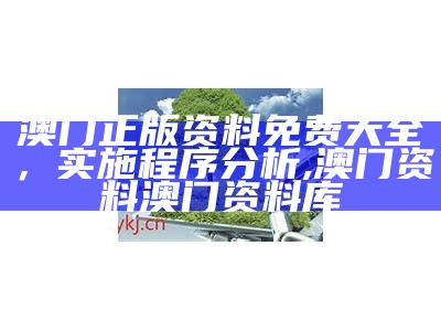 澳门正版资料免费大全，实施程序分析,澳门资料澳门资料库