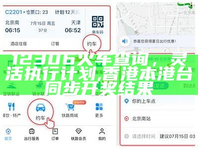 12306火车查询，灵活执行计划,香港本港台同步开奖结果