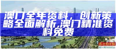 澳门全年资料，创新策略全面解析,澳门精准资料免费