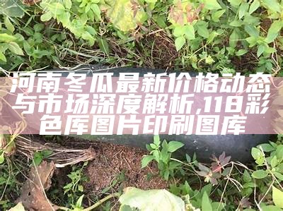 河南冬瓜最新价格动态与市场深度解析,118彩色厍图片印刷图库