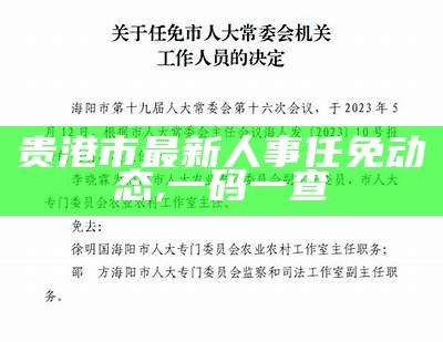 贵港市最新人事任免动态,一码一查