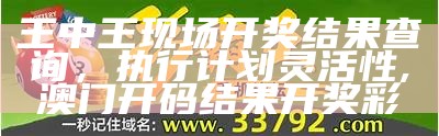 王中王现场开奖结果查询，执行计划灵活性,澳门开码结果开奖彩