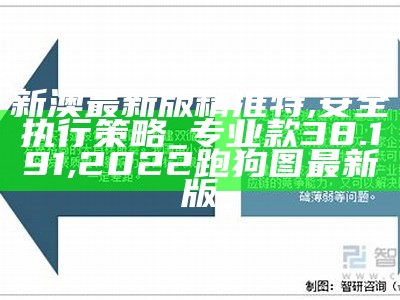 新澳最新版精准特,安全执行策略_专业款38.191,2022跑狗图最新版