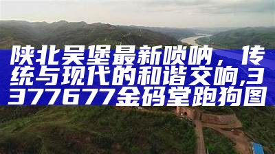 陕北吴堡最新唢呐，传统与现代的和谐交响,3377677金码堂跑狗图