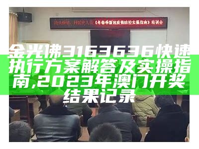 金光佛3163636快速执行方案解答及实操指南,2023年澳门开奖结果记录