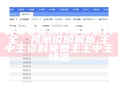 管家婆资料大全，执行计划灵活精准,13297t.com