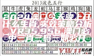 2024澳门今天晚上开什么生肖,实效策略分析_VR35.956,澳门必中三肖三码三期必开